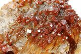 Deep Red Vanadinite Crystals on Barite - Morocco #255535-2